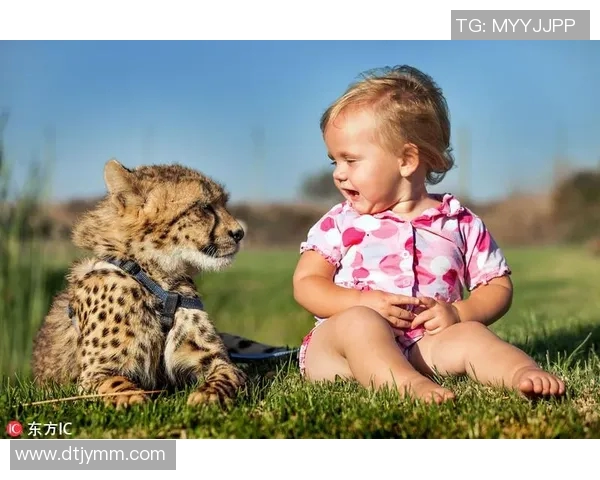 足球明星与美女的浪漫邂逅视频揭示他们背后的故事与情感交织